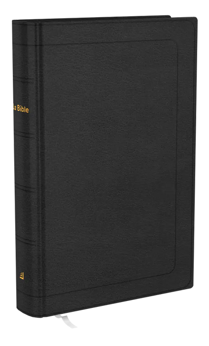 Bible Darby révisée format compact, cuir noir, tranche or