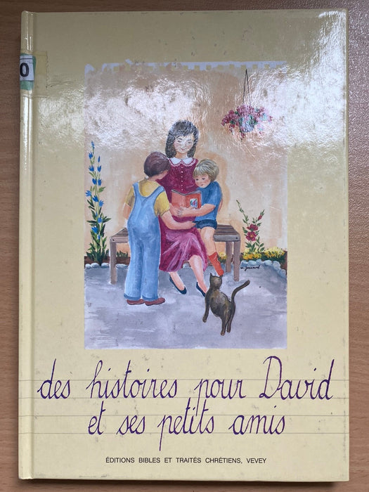 Des histoires pour David et ses petits amis