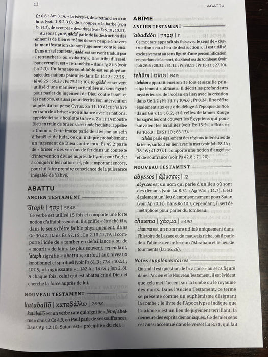 Dictionnaire des mots bibliques