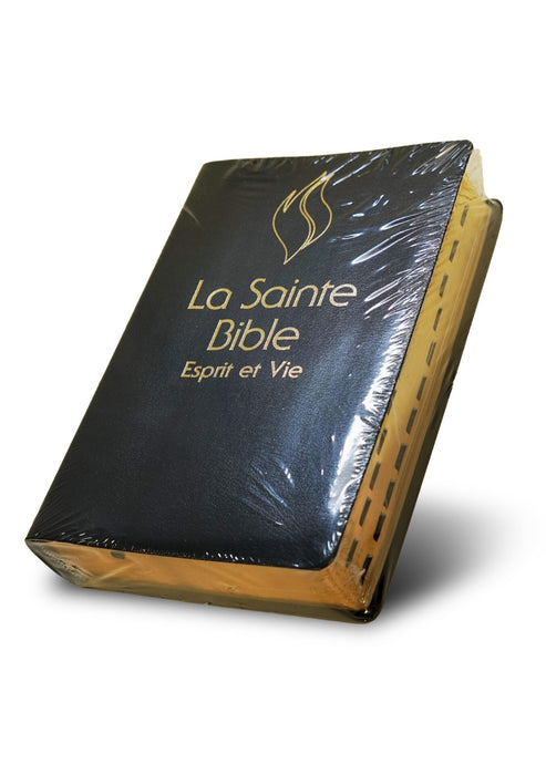 Bible Segond 1910 Esprit et Vie Deluxe