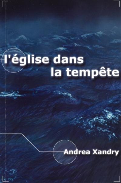 Occasion - L'Église dans la tempête