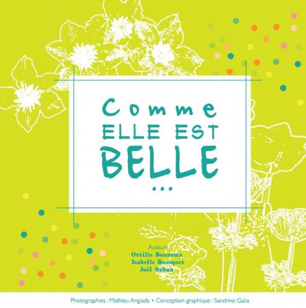 Occasion - Comme elle est belle...