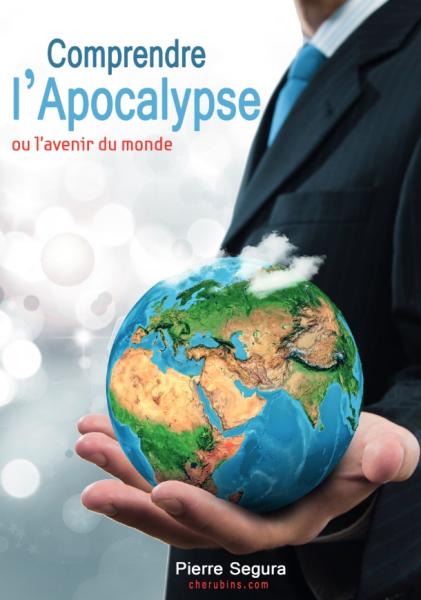 Occasion - Comprendre l'Apocalypse