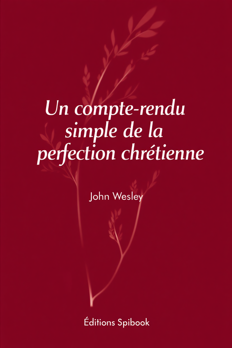 Ebook - Un compte-rendu simple de la perfection chrétienne