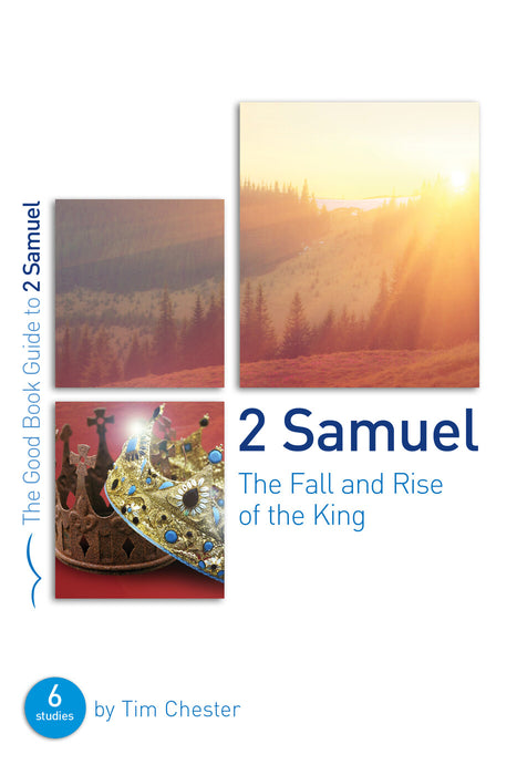 2 Samuel: The Fall and Rise of the King [Livre en anglais]