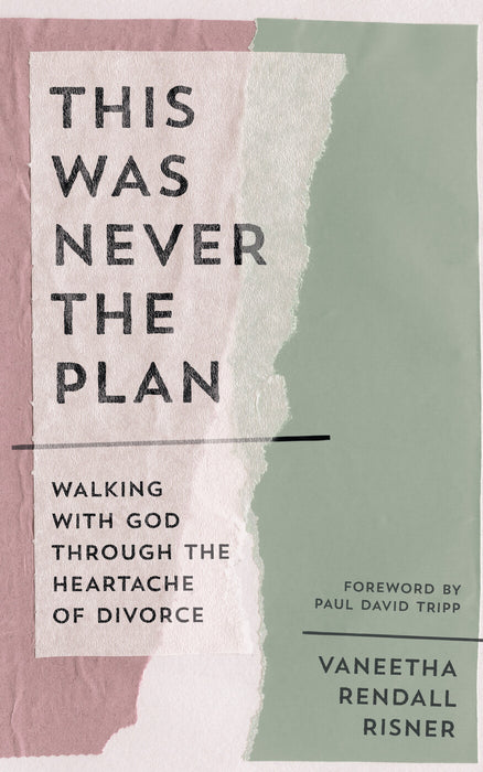 This Was Never the Plan [Livre en anglais]