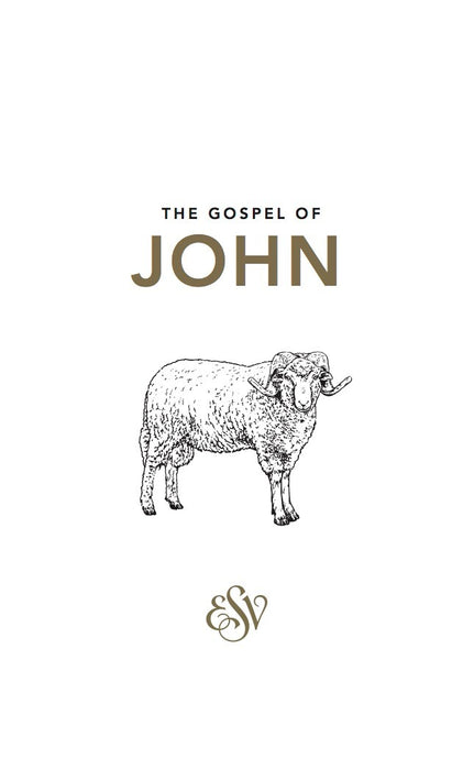 John's Gospel (ESV) [Livre en anglais]