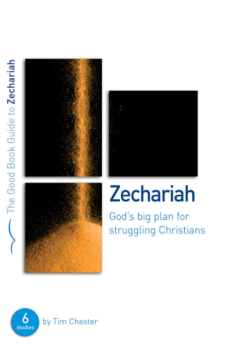 Zechariah: God's Big Plan for struggling Christians [Livre en anglais]