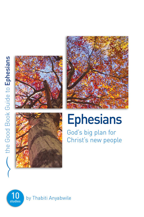 Ephesians: God's Big Plan for Christ's New People [Livre en anglais]