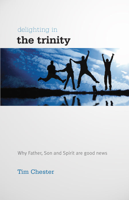 Delighting in the Trinity [Livre en anglais]