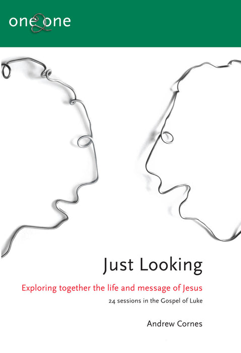 One2One: Just Looking [Livre en anglais]