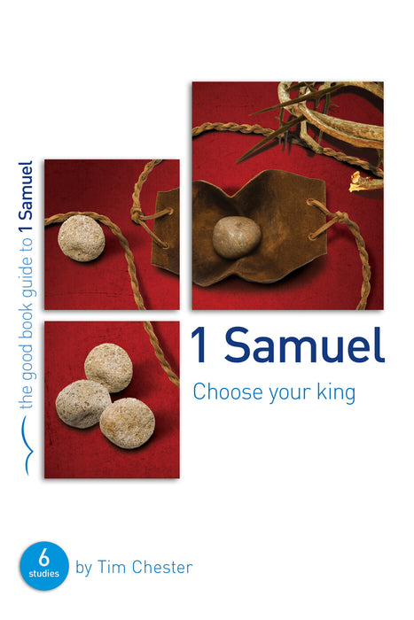 1 Samuel: Choose your King [Livre en anglais]