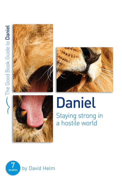 Daniel: Staying strong in a hostile world [Livre en anglais]