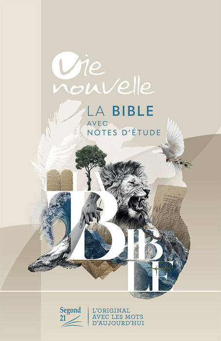 Bible d'étude Vie nouvelle Segond 21 couverture rigide illustrée