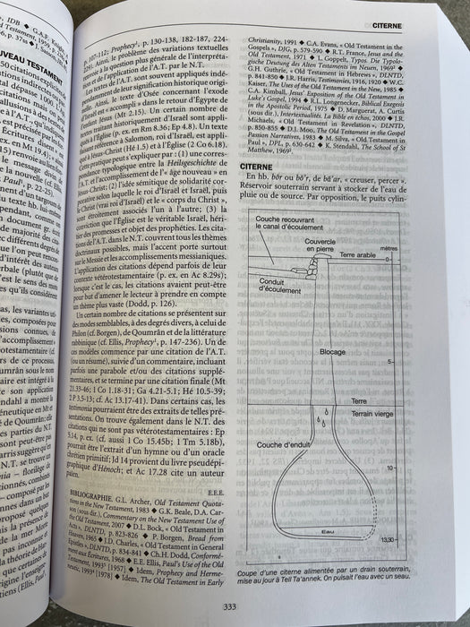 Le Grand Dictionnaire de la Bible (3e edition 2017)