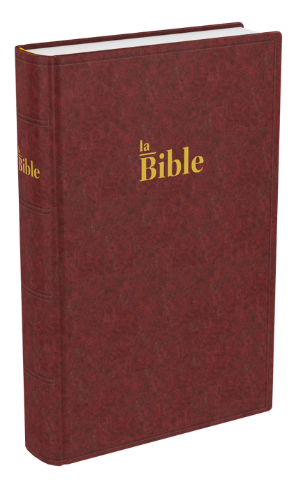 La Sainte Bible, Darby, format compact, rigide brun rouge