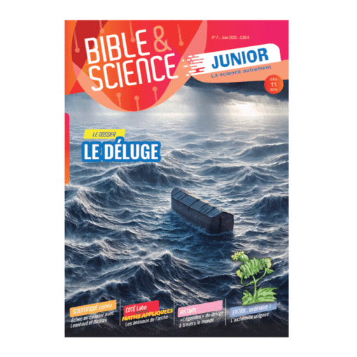 Bible & Science Junior, N° 7 ‘Le dossier : le déluge