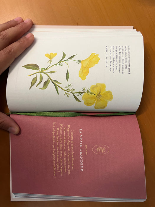 Tu es si belle (livre + carnet)