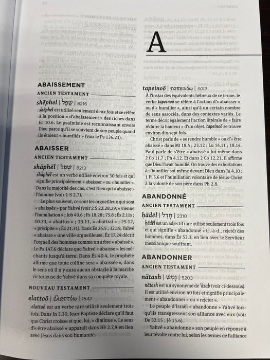 Dictionnaire des mots bibliques
