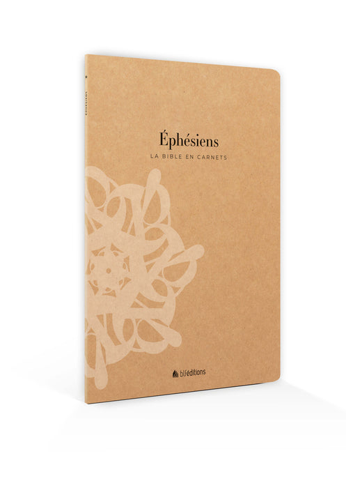 La Bible en carnets