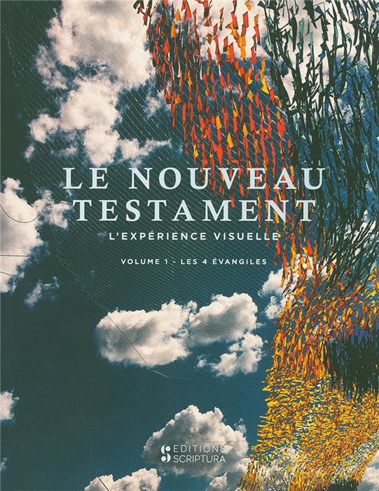 Occasion - Le Nouveau Testament : L'expérience visuelle