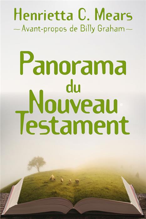 Occasion - Panorama du Nouveau Testament
