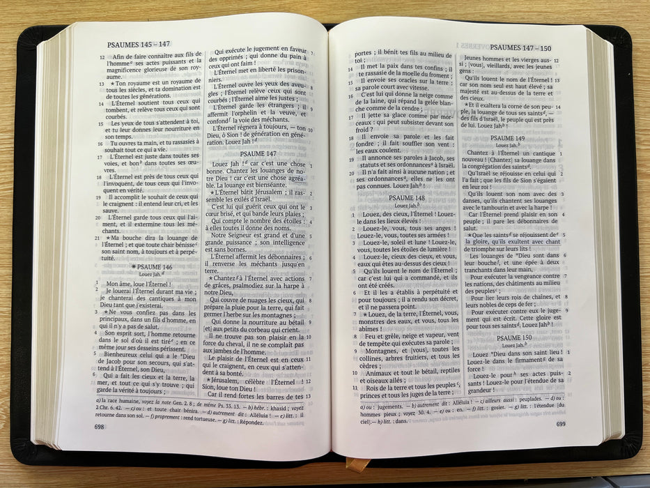 La Sainte Bible, Darby, grand format, cuir noir avec rebord et tranche dorée, titre sur la face