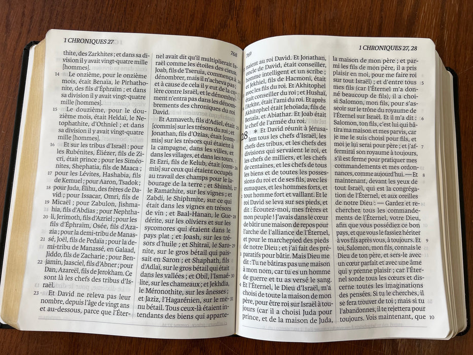 La Sainte Bible, Darby (gros caractères)