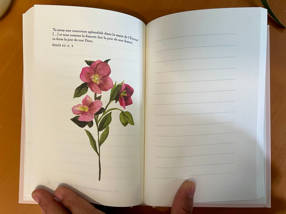 Tu es si belle (livre + carnet)