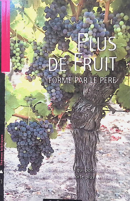 Plus de fruits