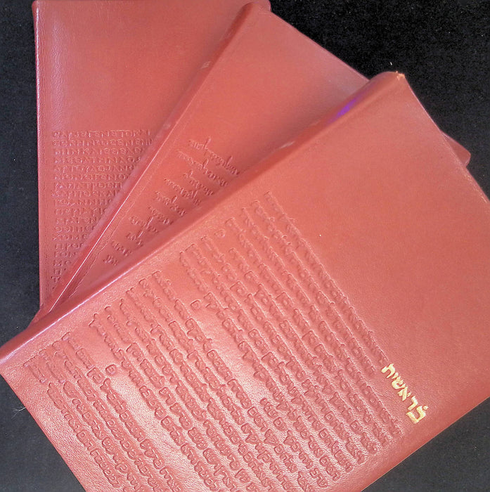 Occasion - La Sainte Bible (Volume 1 à 3)