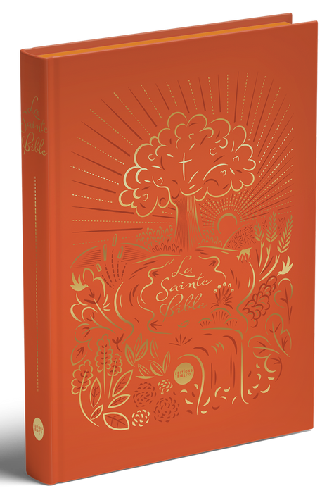 Bible nouvelle français courant (NFC) en fer à dorer - jaspage -avec tranches colorées