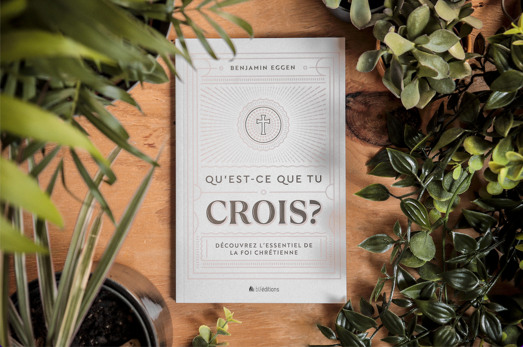 Occasion - Qu'est-ce que tu crois ?