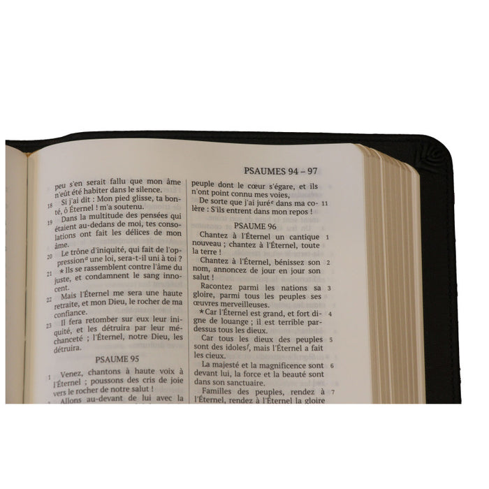 La Sainte Bible, Darby, format moyen, cuir avec rebord, tranche dorée [nouvelle présentation]