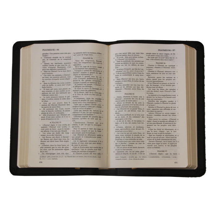 La Sainte Bible, Darby, format moyen, cuir avec rebord, tranche dorée [nouvelle présentation]