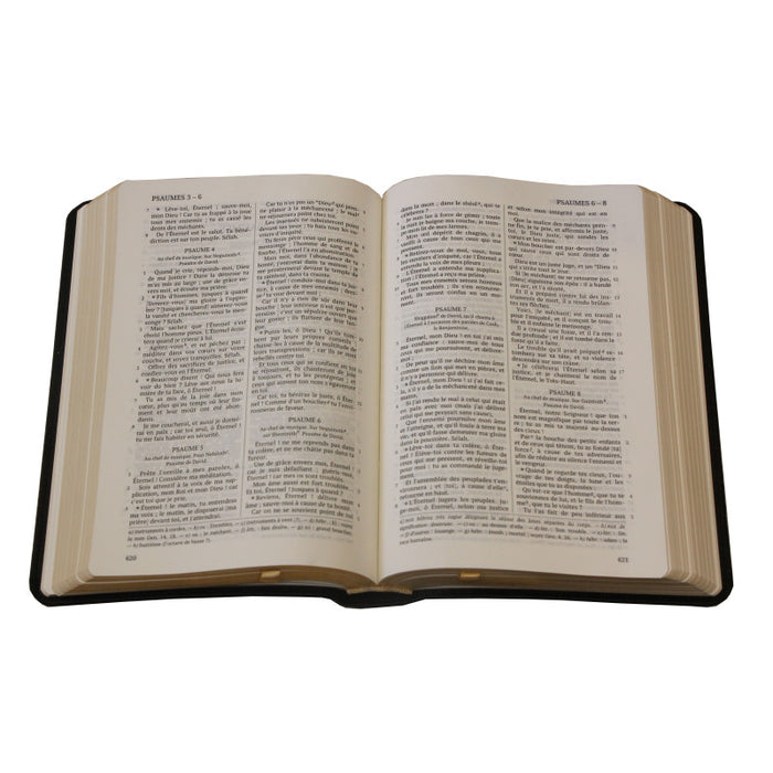 La Sainte Bible, Darby, format moyen, cuir sans rebord, tranche dorée [nouvelle présentation]