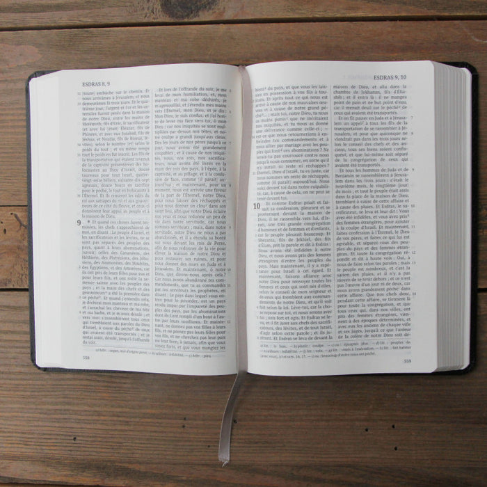 La Sainte Bible, Darby, format moyen, semi rigide [nouvelle présentation]