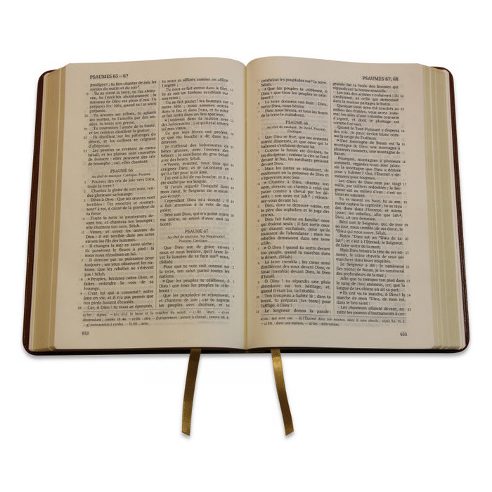 La Sainte Bible, Darby, grand format, simili cuir