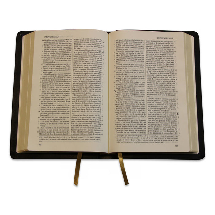 La Sainte Bible, Darby, grand format, cuir noir avec rebord et tranche dorée