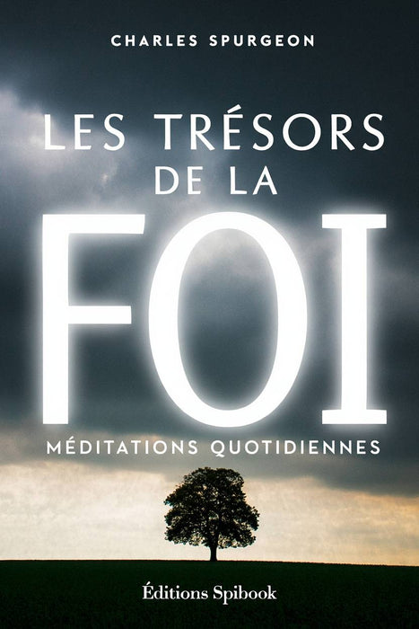 Ebook -  Les trésors de la foi - Méditations quotidiennes