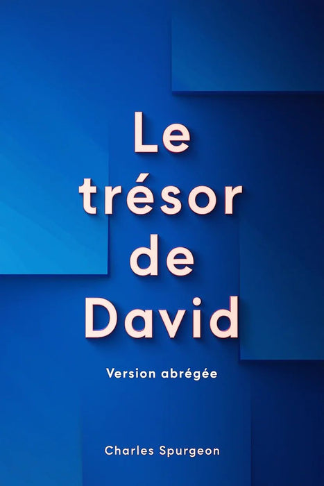 Ebook - Le trésor de David (version abrégée)
