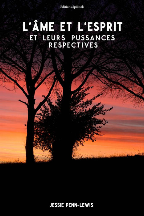 Ebook - L’âme et l’esprit et leurs puissances respectives