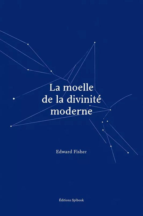 Ebook - La moelle de la divinité moderne