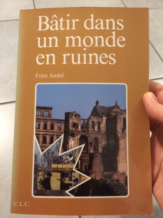 Occasion - Bâtir dans un monde en ruines