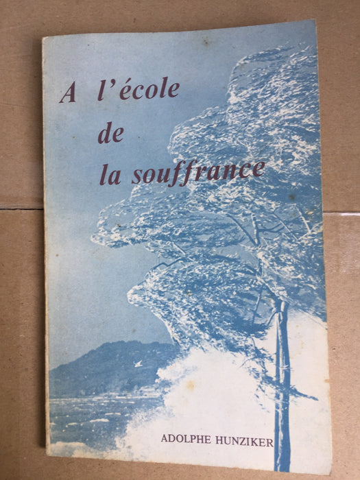 Occasion - À l'école de la souffrance