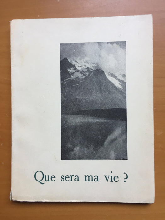 Occasion - Que sera ma vie ?