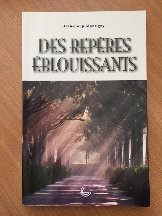 Occasion - Des repères éblouissants