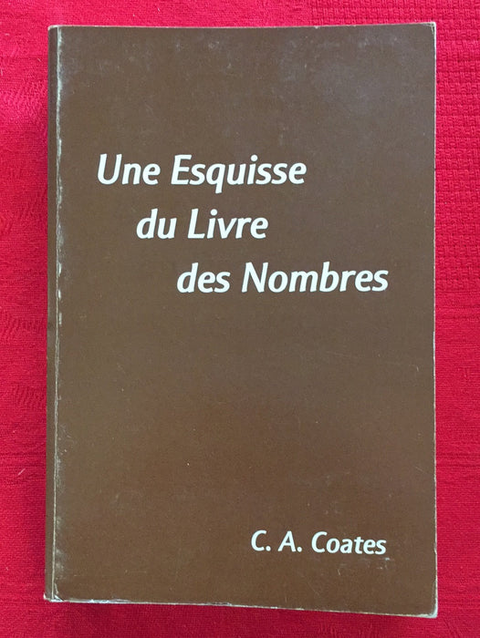 Une esquisse du livre des Nombres
