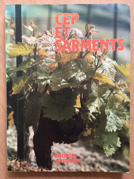 Occasion - Cep et sarments