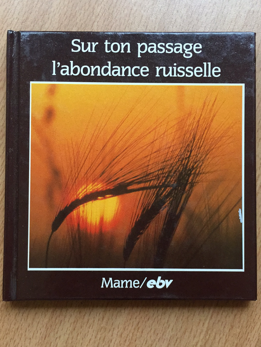 Occasion - Sur ton passage l'abondance ruisselle